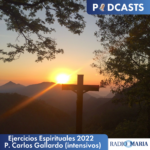 Ejercicios Espirituales 2022 P. Carlos Gallardo (intensivos)